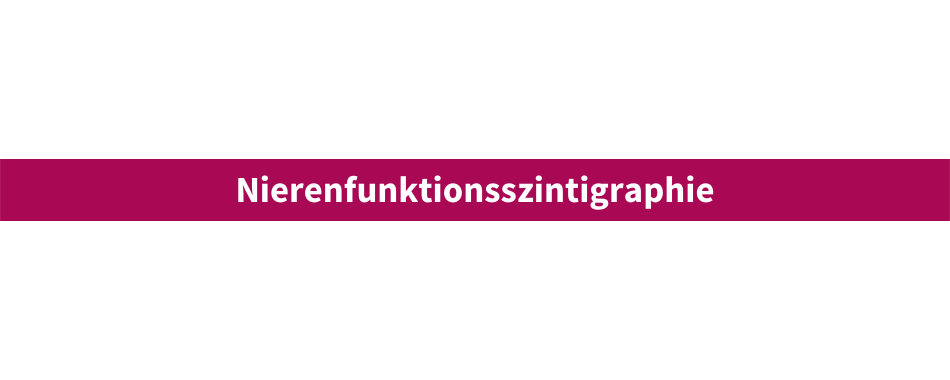 Nierenfunktionsszintigraphie.png